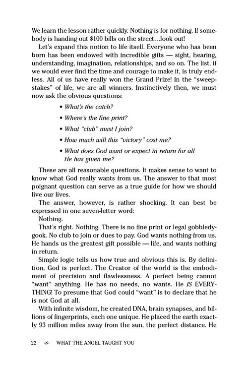 What the Angel Taught you Paperback (Mid Size Paperback)