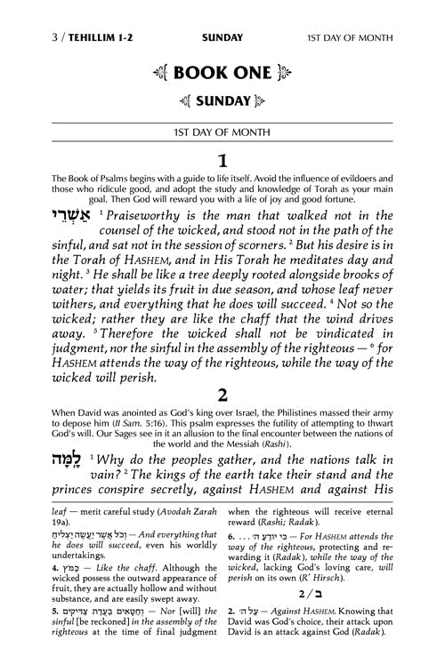 Signature Leather Collection Full-Size Hebrew/English Tehillim Black Charcoal