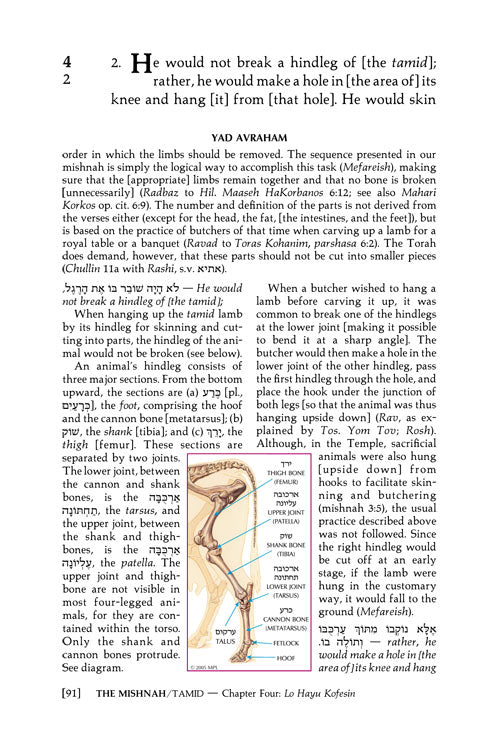 ArtScroll Yad Avraham Mishnah (Mishnayos ) Series - English - Full Size - 26 Tractate Avos (Nezikin 4a)