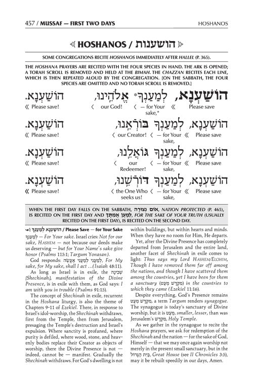 Schottenstein Interlinear Machzor Succos -Hebrew English -Sefard - Alligator Leather
