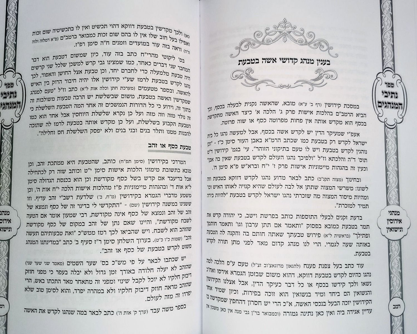 Netivei Haminhagim - נתיבי המנהגים