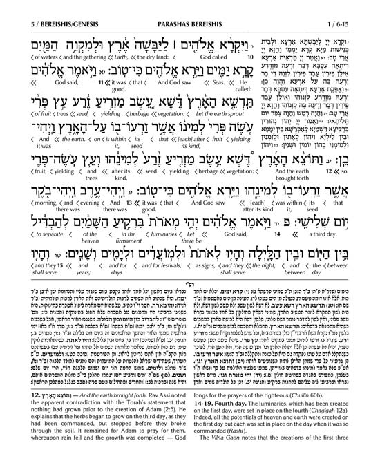 Schottenstein Ed Interlinear Chumash Complete in 1 Volume