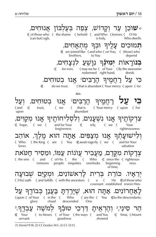Schottenstein Interlinear Selichos for the 1st Night - Minhag Lita (Ashkenaz)