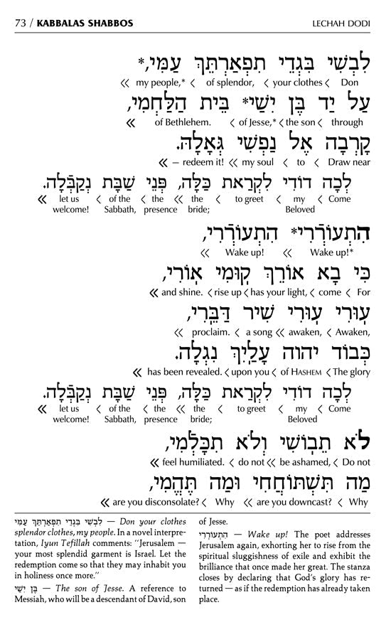 Siddur Interlinear Sabbath & Festivals Full Size Ashkenaz RCA Schottenstein Ed