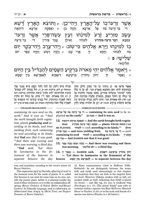 Zichron Meir Edition of Targum Onkelos - Vayikra