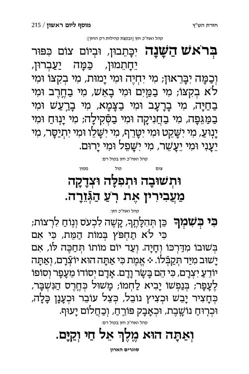ArtScroll Machzor Rosh Hashanah - Hebrew Only - Sefard - Full Size