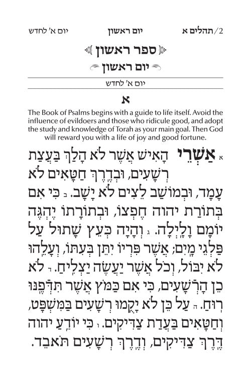 Large Type Tehillim / Psalms- hebrew- English- Softcover- Pocket Size (Small)