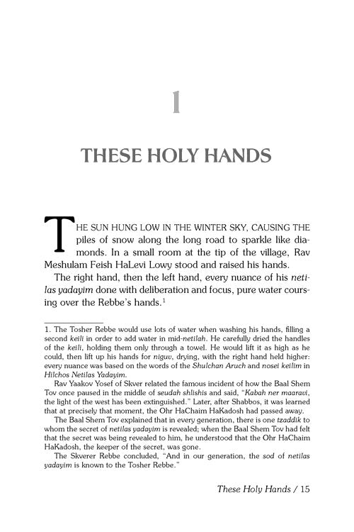 The Tosher Rebbe - The life, leadership, and legacy of Rabbi Meshulam Feish Halevi Lowy