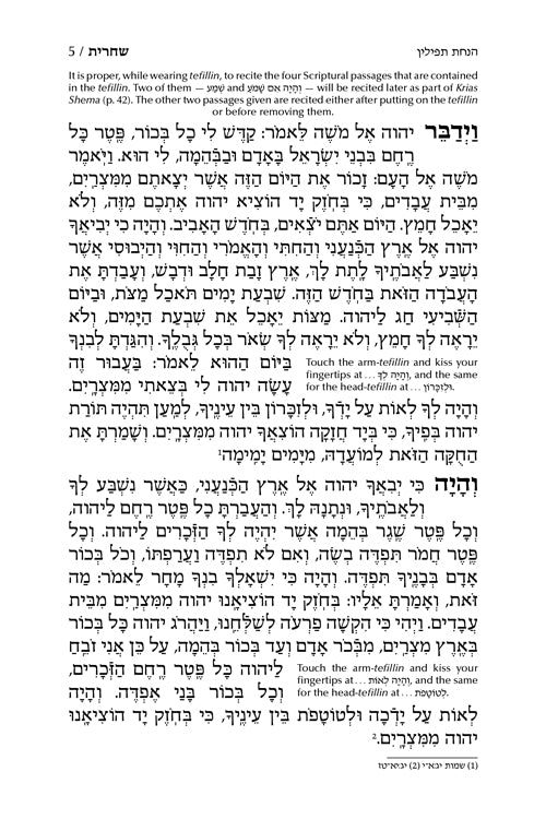 Siddur Shiras Baila: Hebrew-Only: Full Size - Sefard - with English Instructions [Full-Size English Instructions]