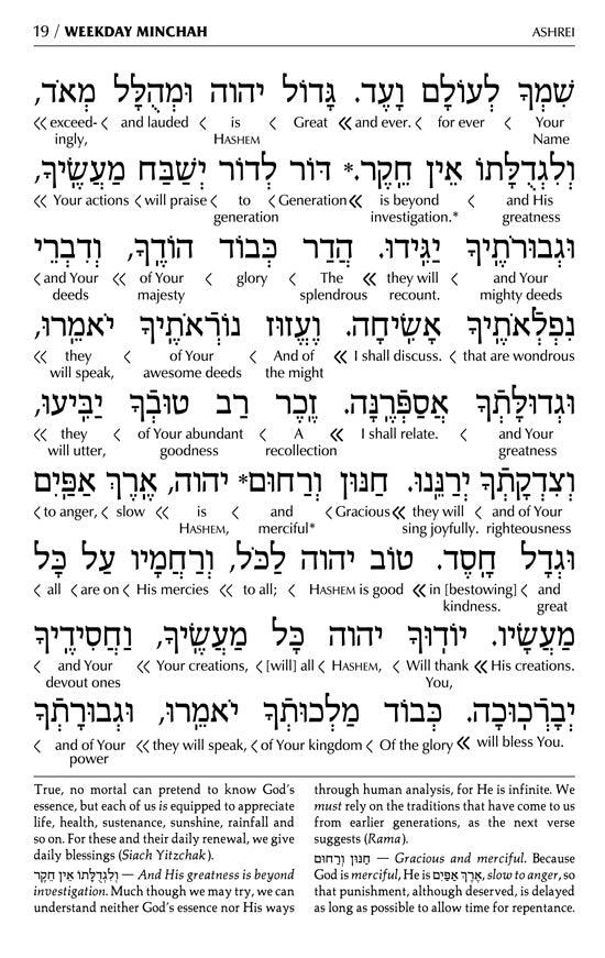 Siddur Interlinear Sabbath & Festivals Full Size Ashkenaz Schottenstein Edition - Signature Leather - Charcoal Black