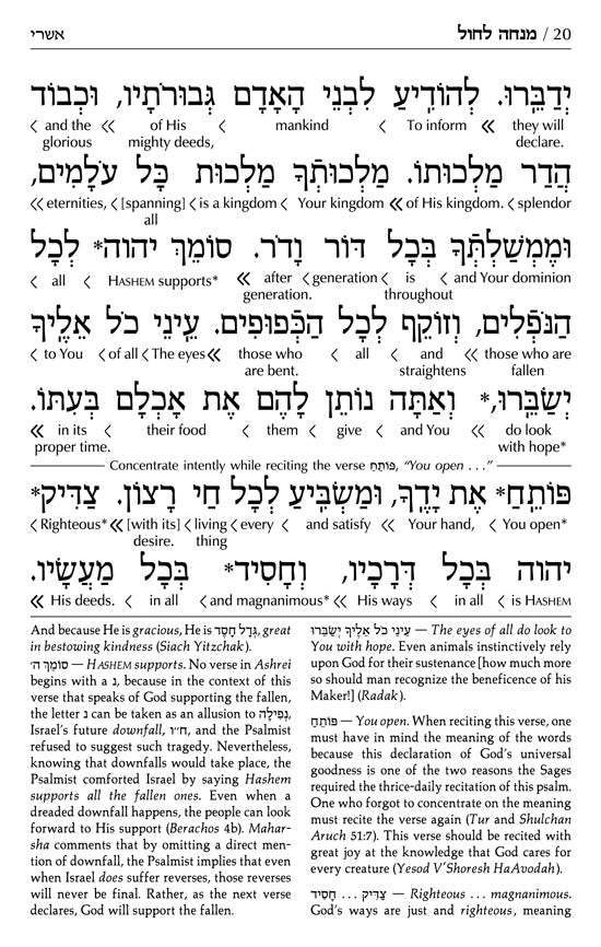 Siddur Interlinear Sabbath & Festivals Full Size Ashkenaz Schottenstein Edition - Signature Leather - Charcoal Black