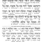 Siddur Interlinear Sabbath & Festivals Full Size Ashkenaz Schottenstein Edition - Signature Leather - Charcoal Black