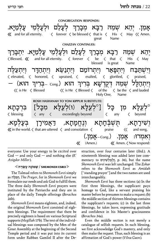 Siddur Interlinear Sabbath & Festivals Full Size Ashkenaz Schottenstein Edition - Signature Leather - Charcoal Black