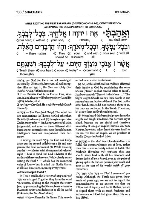 Siddur Interlinear Weekday Full Size - Sefard - Schottenstein Edition - Signature Leather - Royal Brown