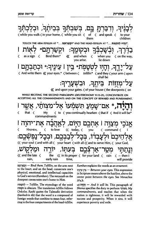 Siddur Interlinear Weekday Full Size - Sefard - Schottenstein Edition - Signature Leather - Royal Brown