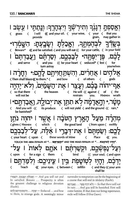 Siddur Interlinear Weekday Full Size - Sefard - Schottenstein Edition - Signature Leather - Royal Brown