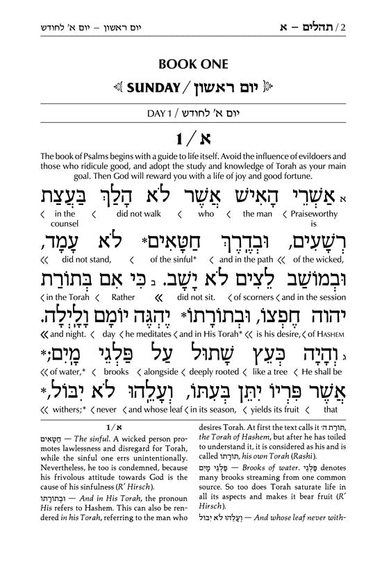 Interlinear Tehillim /Psalms Full Size The Schottenstein Edition - Signature Leather - Royal Blue