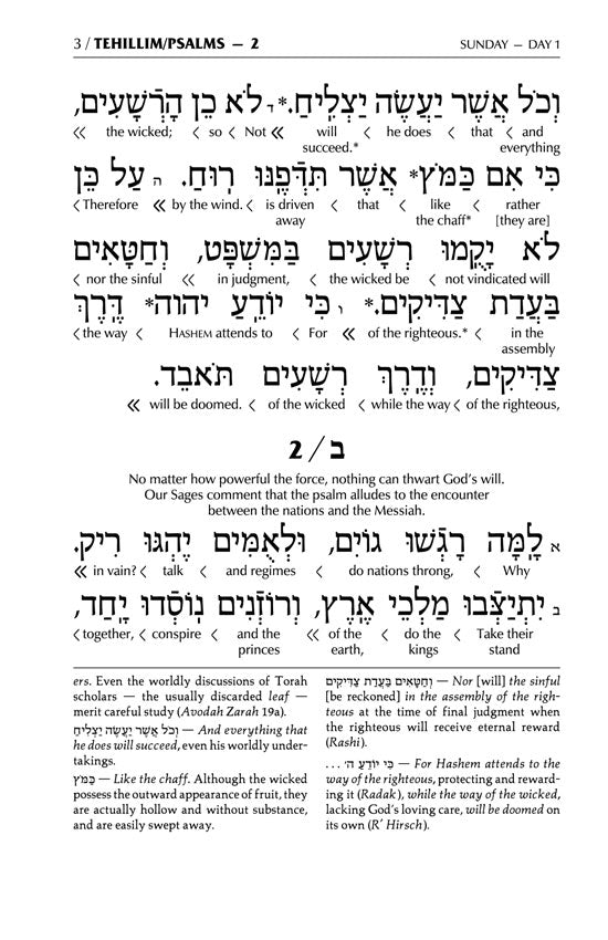 Interlinear Tehillim /Psalms Full Size The Schottenstein Edition - Signature Leather - Pink