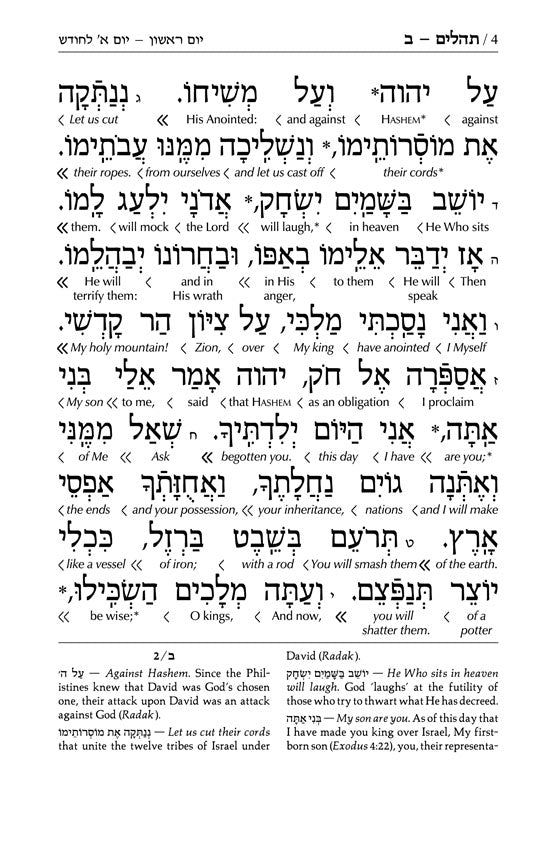 Signature Leather Collection Full-Size Schottenstein Interlinear Tehillim Glacier Grey