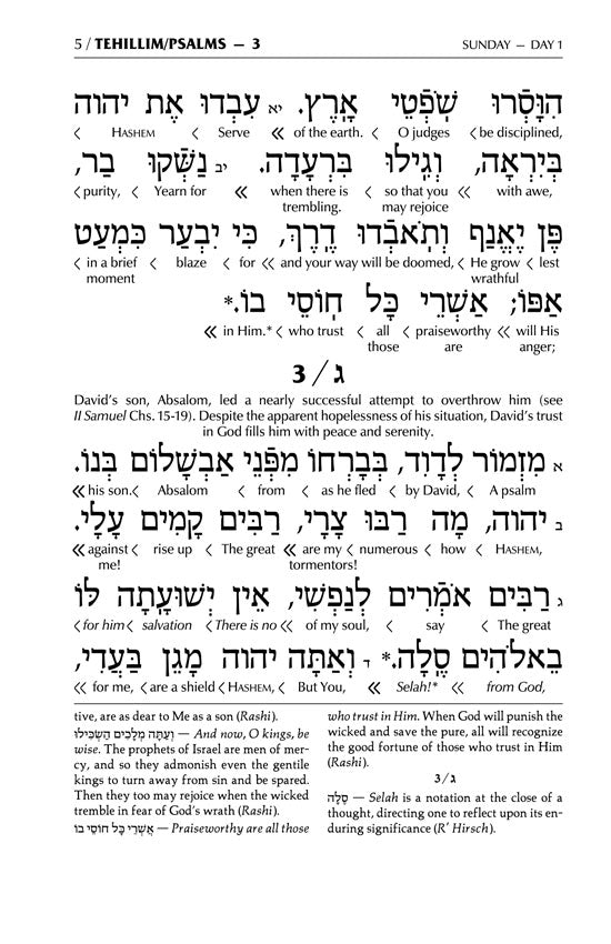 Signature Leather Collection Full-Size Schottenstein Interlinear Tehillim Navy Blue