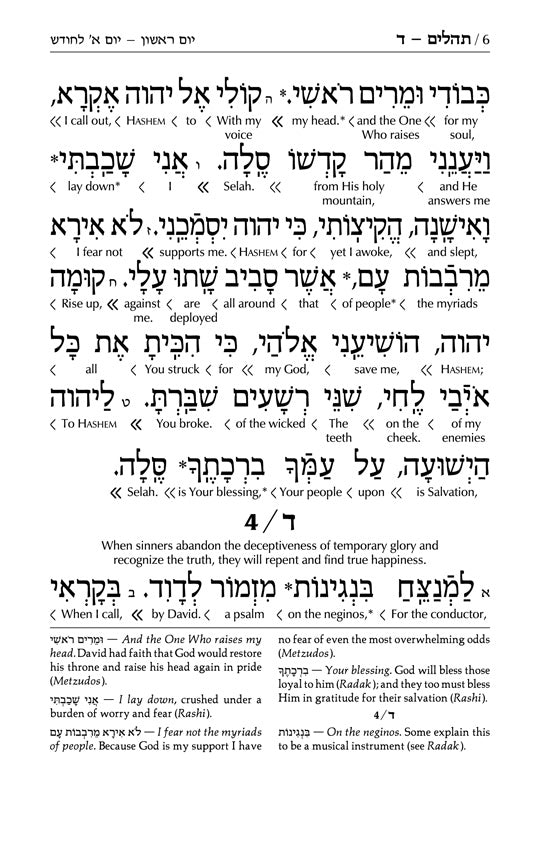 Signature Leather Collection Full-Size Schottenstein Interlinear Tehillim Glacier Grey