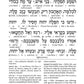 Interlinear Tehillim /Psalms Full Size The Schottenstein Edition - Signature Leather - Fuchsia Pink