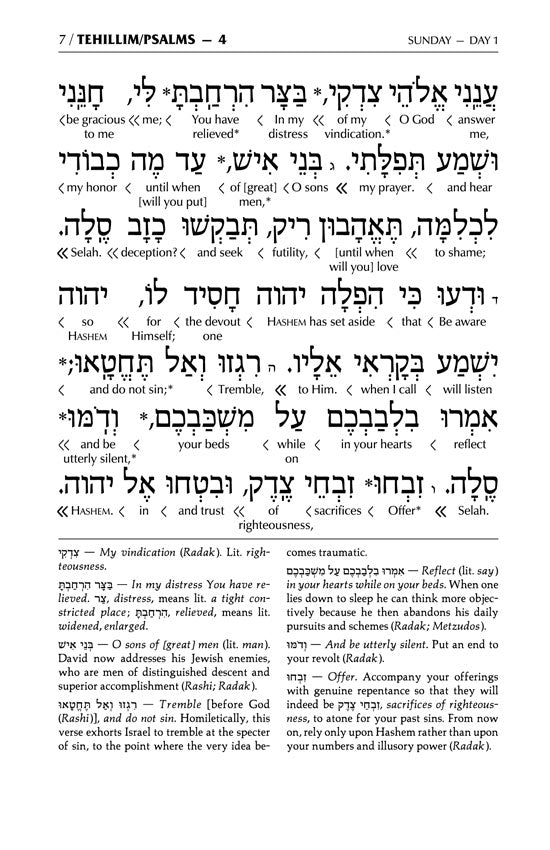 Interlinear Tehillim /Psalms Full Size The Schottenstein Edition - Signature Leather - Fuchsia Pink