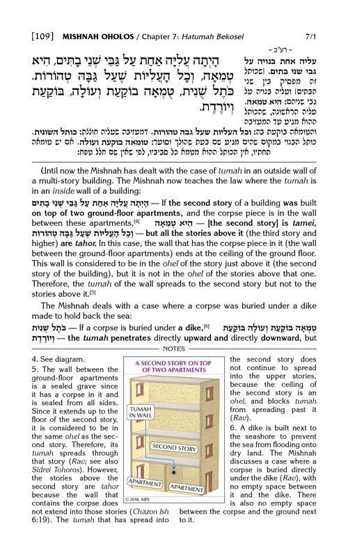 Schottenstein Edition Mishnah  ( Mishnayos) Elucidated - English - Pocket Size