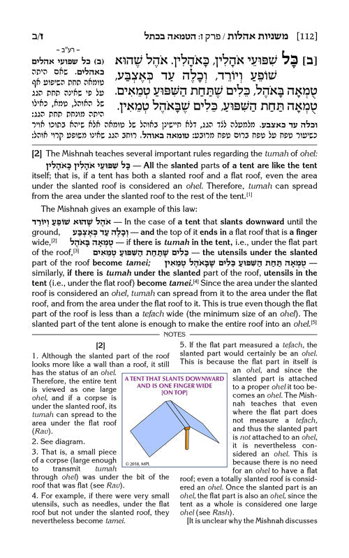 Schottenstein Edition Mishnah  ( Mishnayos) Elucidated - English - Pocket Size