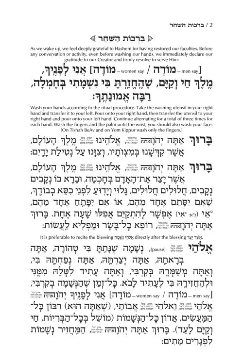 Siddur Tefillah LeDavid: Hebrew-Only: Mid Size – Sephardic/Edot HaMizrach - with English Instructions [Mid Size Edition]