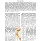 ArtScroll Yad Avraham Mishnah (Mishnayos ) Series - English - Full Size - 04 Tractate Kilayim  Zeraim 3a)