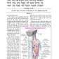 ArtScroll Yad Avraham Mishnah (Mishnayos ) Series - English - Full Size - Complete Full  Set ( 44 Vol )