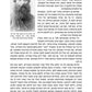 A Tale of Two Worlds - Hebrew Edition - מעולם עד עולם