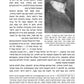 A Tale of Two Worlds - Hebrew Edition - מעולם עד עולם