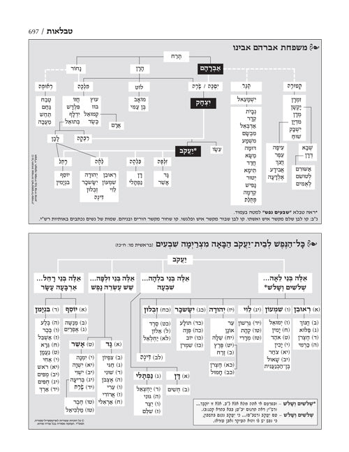 Jaffa Edition Hebrew-only Chumash Mid-Size [Hardcover Midsize]