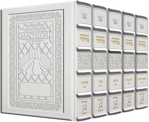 Machzor Wizard: Artscroll Schottenstein Ed. Interlinear Machzor - 5 Volume Sets