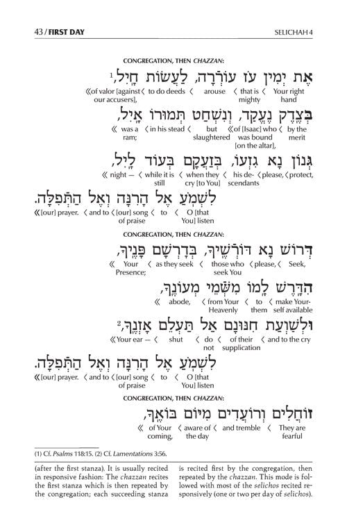 Schottenstein Edition Interlinear Selichos: Nusach Lita Ashkenaz