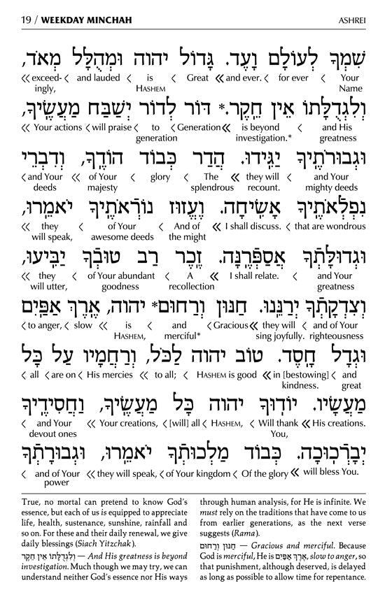 Siddur Interlinear Sabbath & Festivals Full Size Ashkenaz RCA Schottenstein Ed