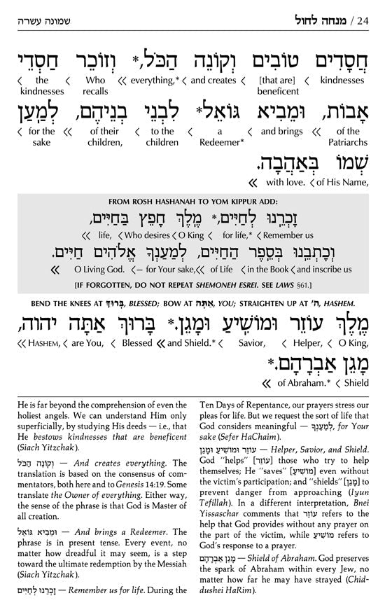 Siddur Interlinear Sabbath & Festivals Full Size Ashkenaz RCA Schottenstein Ed