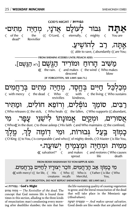 Siddur Interlinear Sabbath & Festivals Full Size Ashkenaz RCA Schottenstein Ed