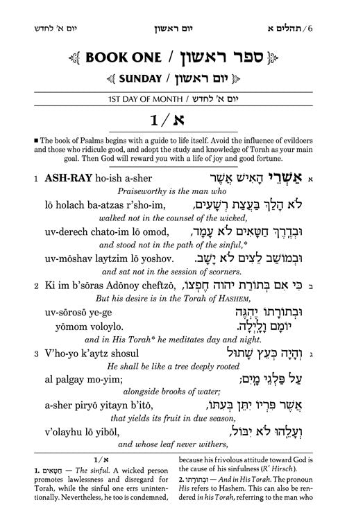 Tehillim: Transliterated Linear - Maroon Leather- Full Size