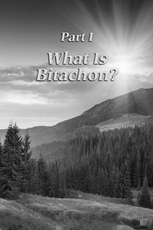 A Life of Bitachon